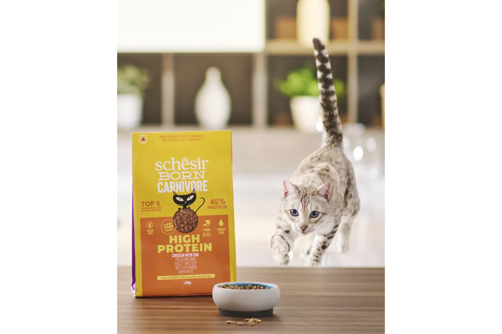 Schesir Pienso Born Carnivore Arenque y Salmón - Imagen 3