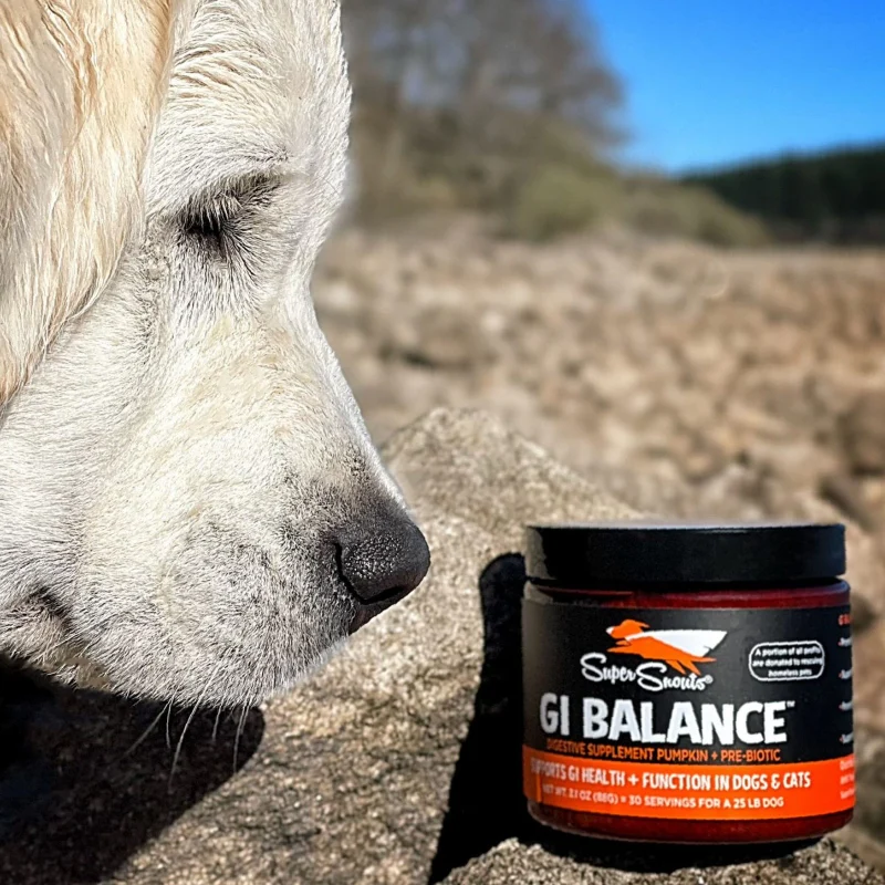 Super Snouts GI Balance 88gr - Imagen 2