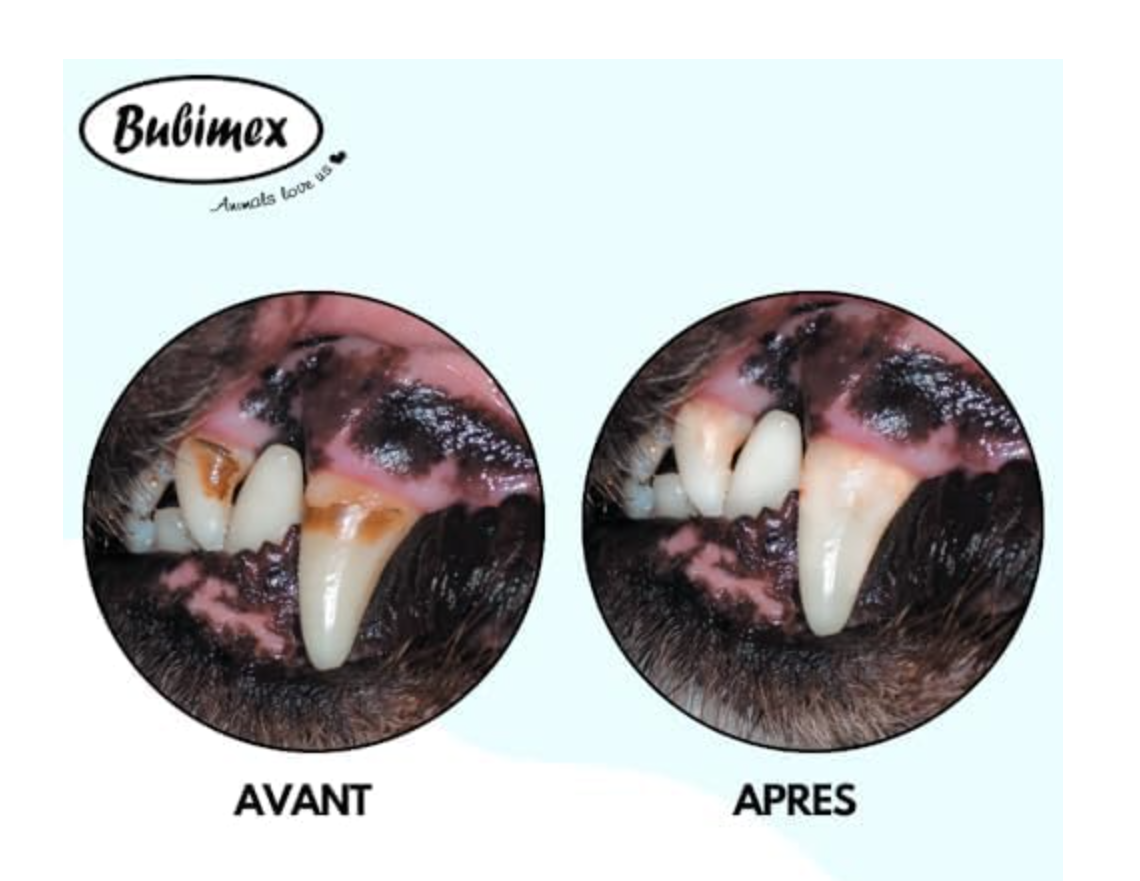 Bubimex Plaque destructor 80g - Imagen 2